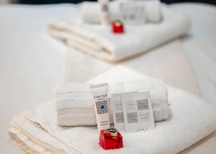 Le Riva - Hyper Centre - Parking - Wifi شقة *